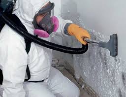 Environmental Consulting for Mold Prevention in The Villages, FL